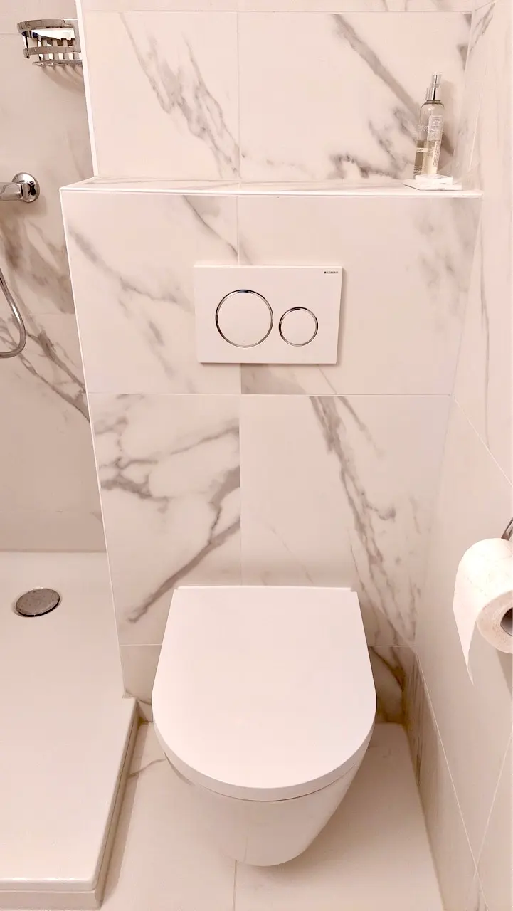 Installation d'un WC suspendu avec plaque de déclenchement blanche à Fribourg.