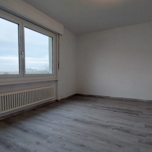 Rénovation d’un appartement à Fribourg