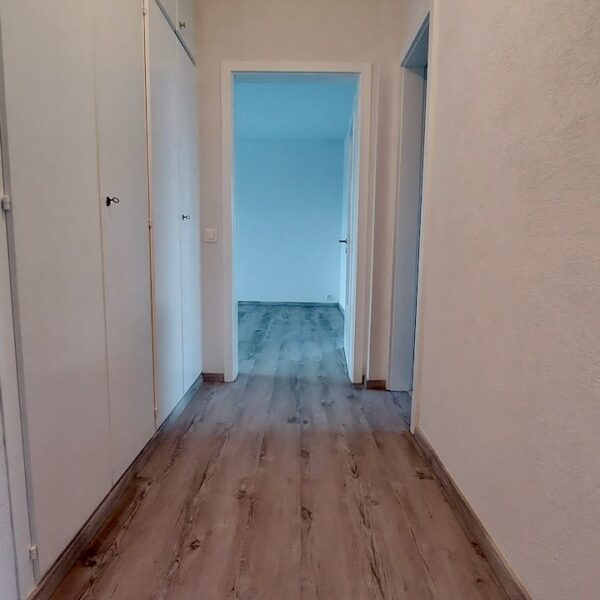 Rénovation d’un appartement à Fribourg